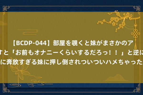 【BCDP-044】部屋を覗くと妹がまさかのアナルオナニー。問いただすと「お前もオナニーくらいするだろっ！！」と逆に襲われたボク…。性に奔放すぎる妹に押し倒されついついハメちゃった近親性交12編 对话 | 那些年，哲院服役的兵哥哥们（一）