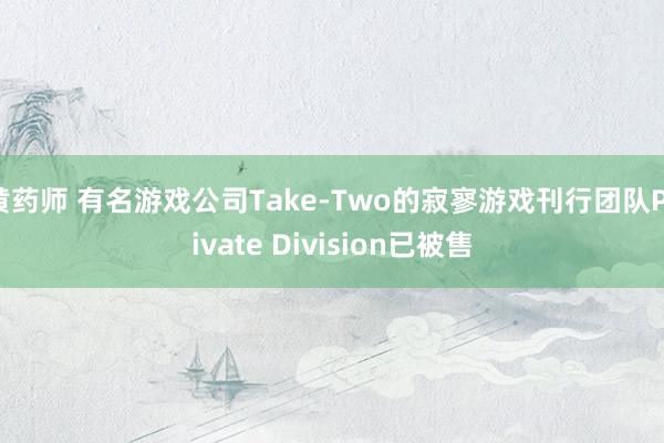黄药师 有名游戏公司Take-Two的寂寥游戏刊行团队Private Division已被售