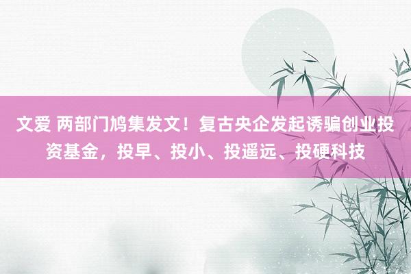 文爱 两部门鸠集发文！复古央企发起诱骗创业投资基金，投早、投小、投遥远、投硬科技