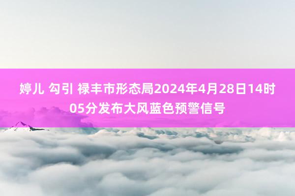 婷儿 勾引 禄丰市形态局2024年4月28日14时05分发布大风蓝色预警信号