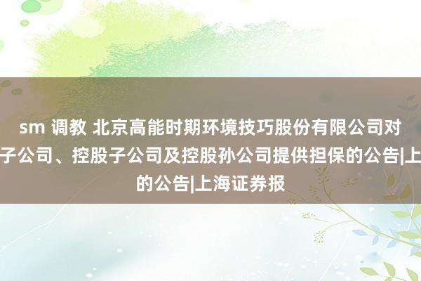 sm 调教 北京高能时期环境技巧股份有限公司对于为全资子公司、控股子公司及控股孙公司提供担保的公告|上海证券报