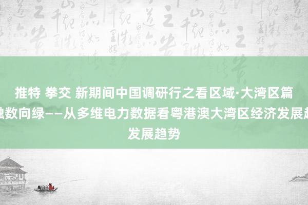 推特 拳交 新期间中国调研行之看区域·大湾区篇丨融数向绿——从多维电力数据看粤港澳大湾区经济发展趋势