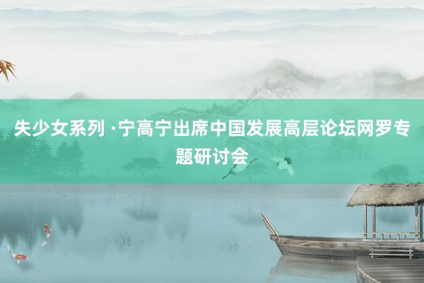 失少女系列 ·宁高宁出席中国发展高层论坛网罗专题研讨会