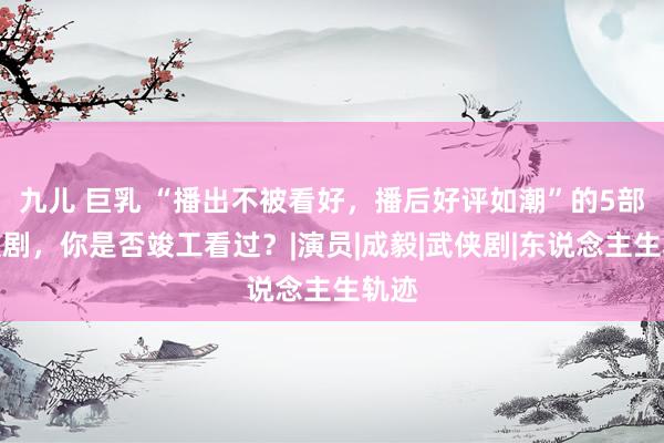 九儿 巨乳 “播出不被看好，播后好评如潮”的5部古装剧，你是否竣工看过？|演员|成毅|武侠剧|东说念主生轨迹