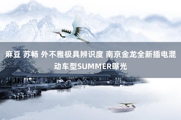 麻豆 苏畅 外不雅极具辨识度 南京金龙全新插电混动车型SUMMER曝光