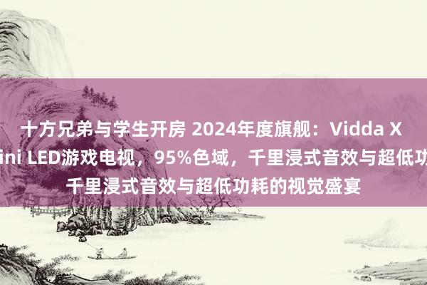 十方兄弟与学生开房 2024年度旗舰：Vidda X Pro 75英寸Mini LED游戏电视，95%色域，千里浸式音效与超低功耗的视觉盛宴