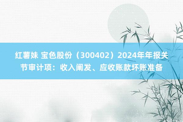 红薯妹 宝色股份（300402）2024年年报关节审计项：收入阐发、应收账款坏账准备