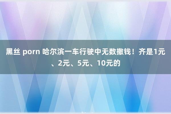 黑丝 porn 哈尔滨一车行驶中无数撒钱！齐是1元、2元、5元、10元的