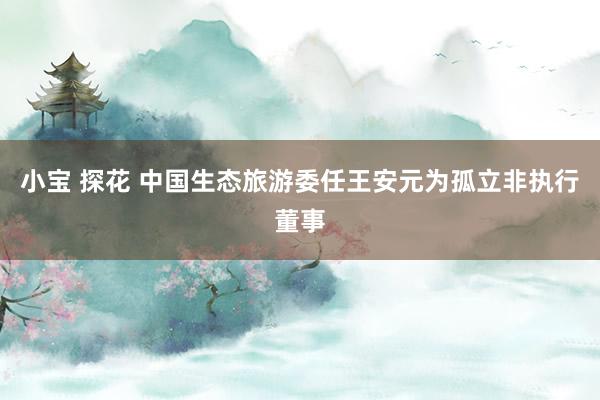 小宝 探花 中国生态旅游委任王安元为孤立非执行董事