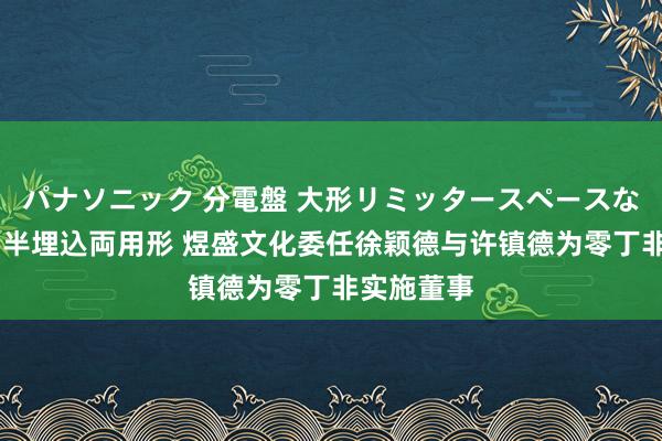 パナソニック 分電盤 大形リミッタースペースなし 露出・半埋込両用形 煜盛文化委任徐颖德与许镇德为零丁非实施董事