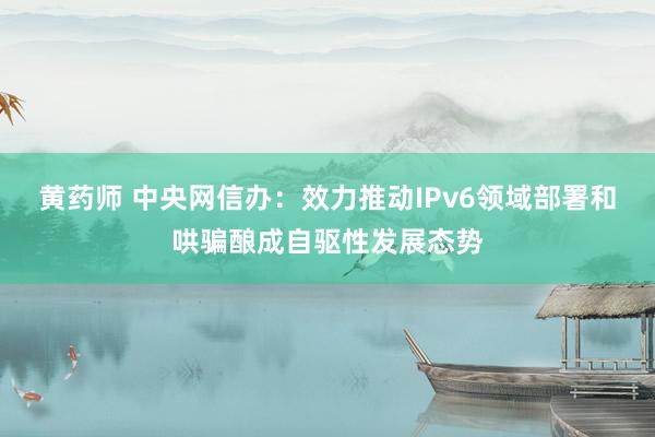黄药师 中央网信办：效力推动IPv6领域部署和哄骗酿成自驱性发展态势