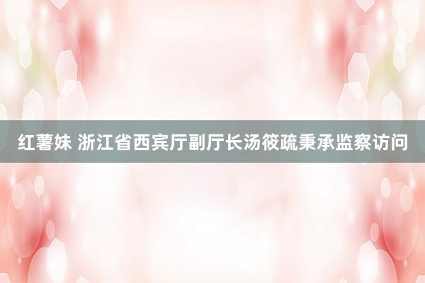 红薯妹 浙江省西宾厅副厅长汤筱疏秉承监察访问
